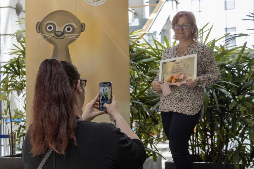 Varázspálcás pedagógus