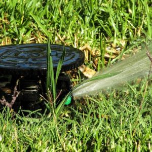 Egy régi szivattyú újra munkában