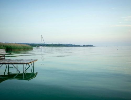 A nyár, amit magammal viszek – Egy történet a kapcsolódásról
