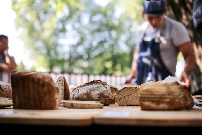 Két fesztivál is várja a Skanzen látogatóit augusztus 20-án