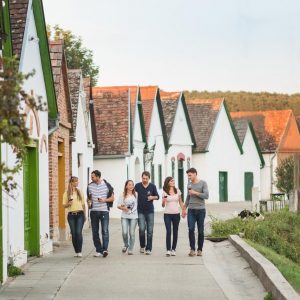 Villány, Harkány ősszel – amikor a szőlő illata, a napsütés és a nyugalom összefonódik Villány, Harkány ősszel – amikor a szőlő illata, a napsütés és a nyugalom összefonódik