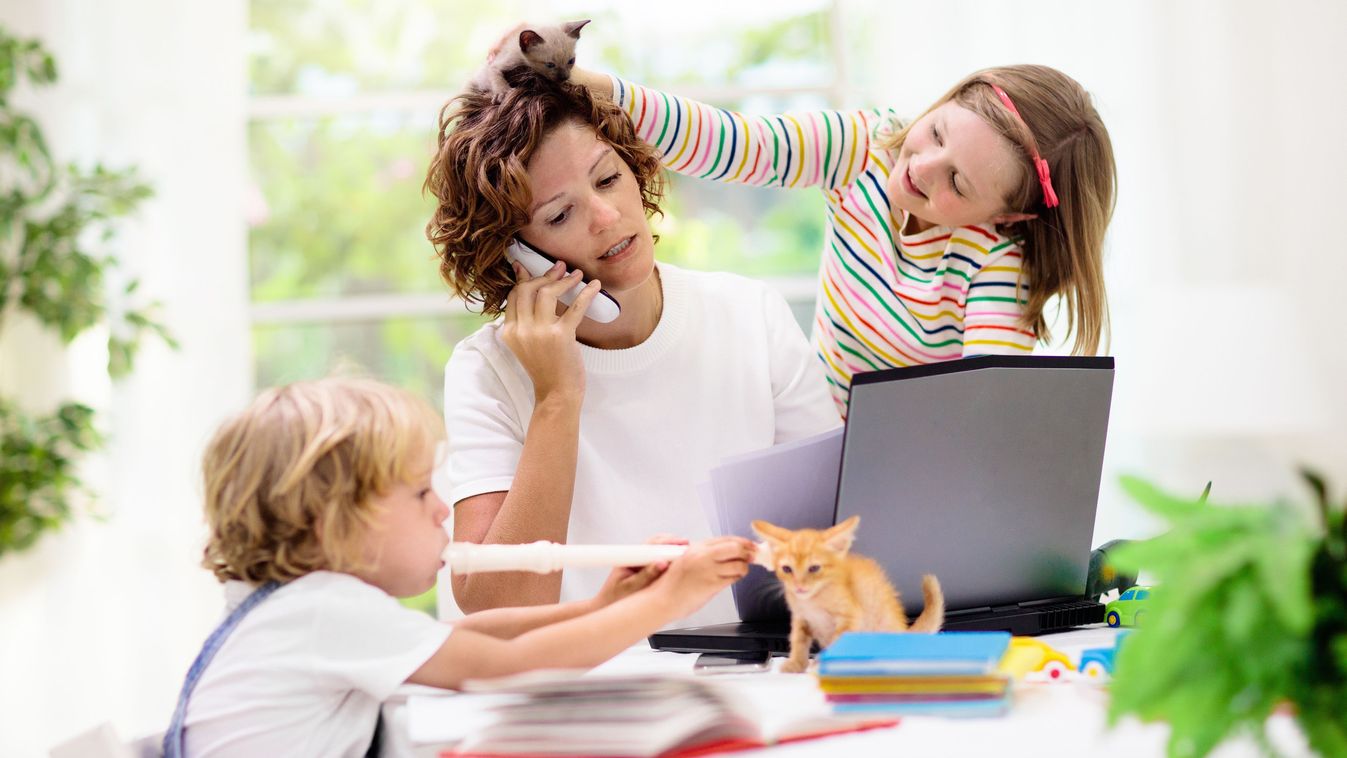 https://www.life.hu/family-life/2025/10/oszi-szunet-programok