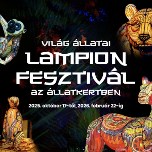 A Világ Állatai Kínai Lampion Fesztivál
