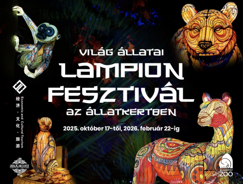 A Világ Állatai Kínai Lampion Fesztivál