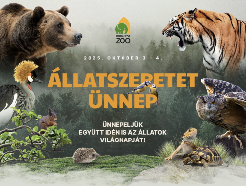 Állatszeretet Ünnep és Nevelőszülők Napja az Állatkertben