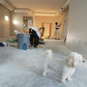 Hogyan átalakítják a modern ragasztóanyagok az építkezéseket?