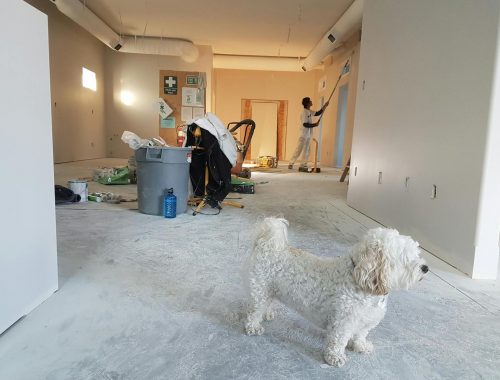 Hogyan átalakítják a modern ragasztóanyagok az építkezéseket?