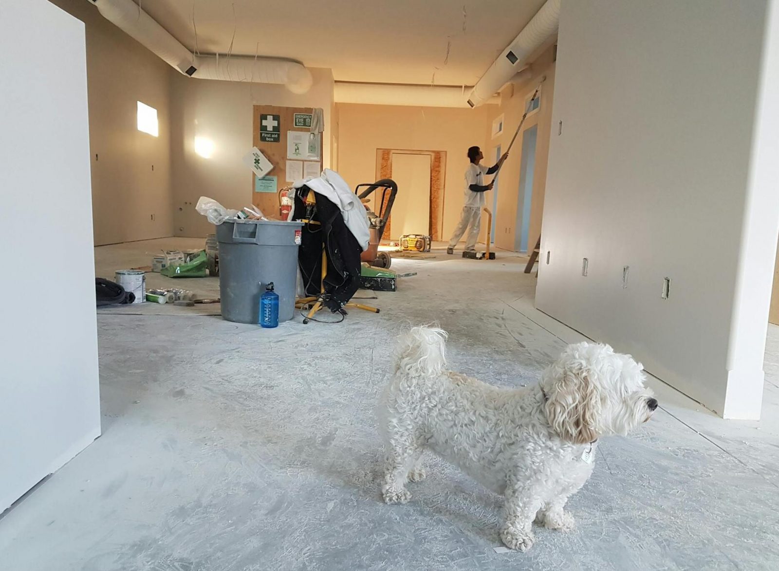 Hogyan átalakítják a modern ragasztóanyagok az építkezéseket?