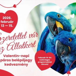 Három napon át páros kedvezmény az Állatkertben - Külön programokkal készülnek a Valentin-napra Három napon át páros kedvezmény az Állatkertben - Külön programokkal készülnek a Valentin-napra