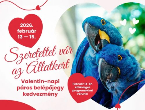 Három napon át páros kedvezmény az Állatkertben