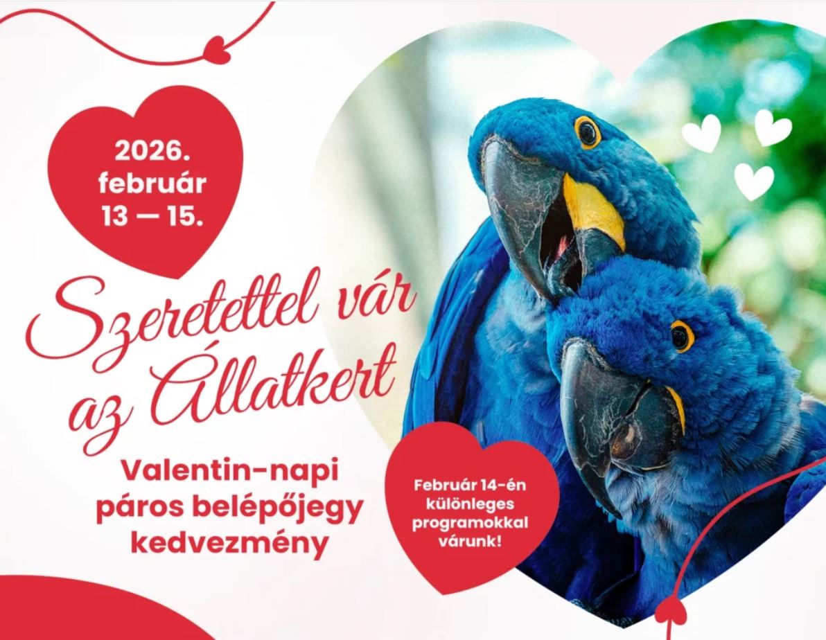Három napon át páros kedvezmény az Állatkertben