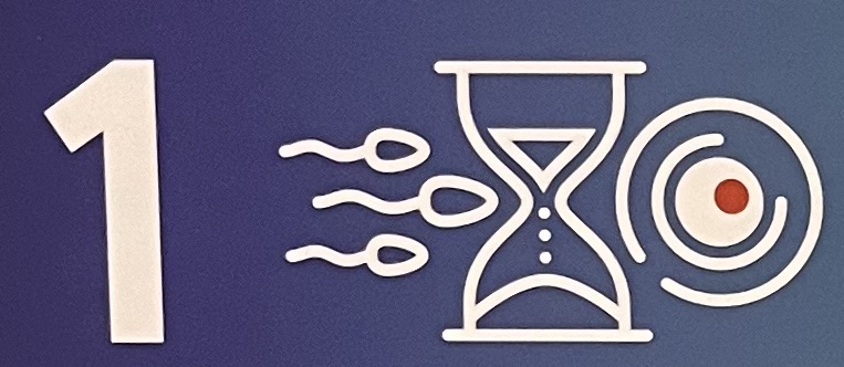 9 fontos dolog, amit tudnod kell, ha gyermeket szeretnél