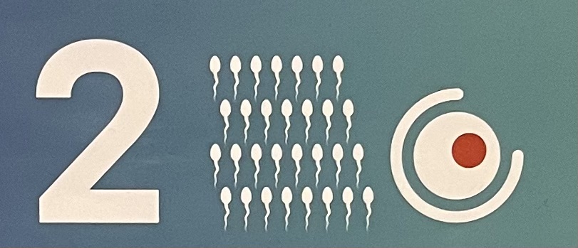 9 fontos dolog, amit tudnod kell, ha gyermeket szeretnél