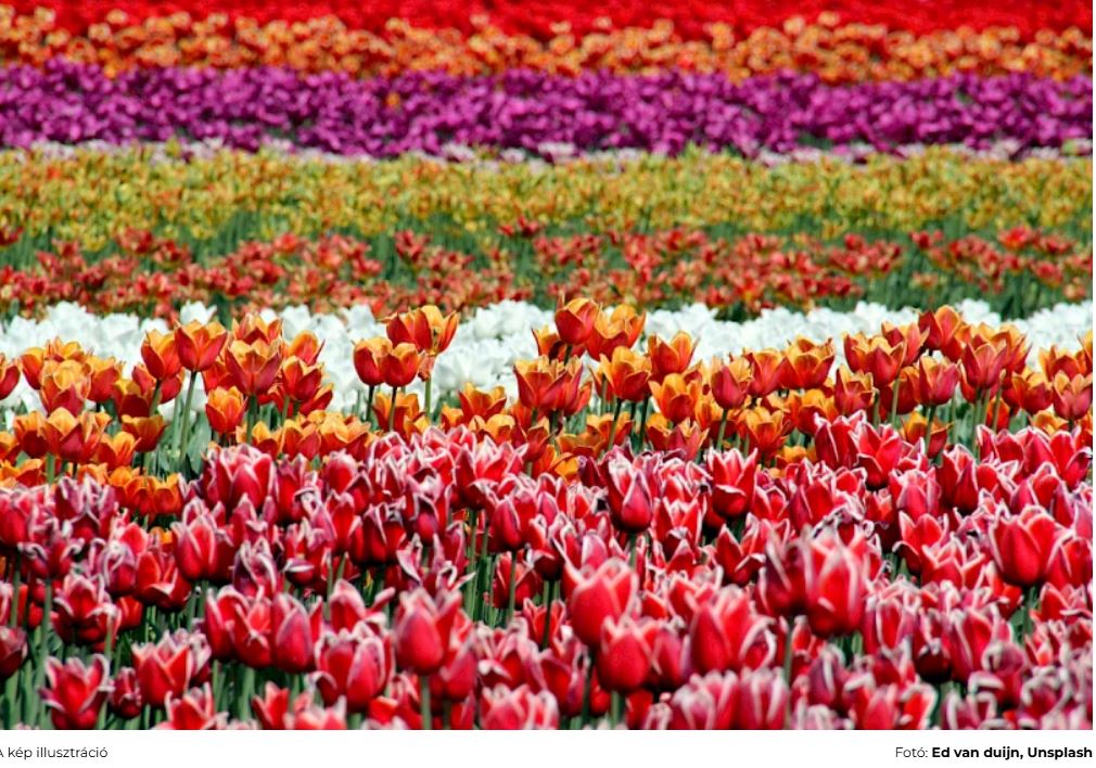 18 szuper húsvéti program Magyarországon