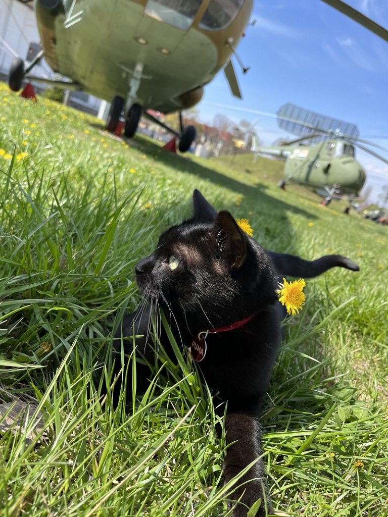 Tavaszi szüneti élménydömping a szolnoki RepTárban – programokkal várják a családokat