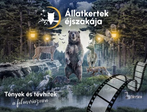 Pénteken lesz az Állatkertek Éjszakája