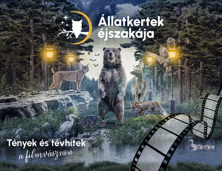 Pénteken lesz az Állatkertek Éjszakája
