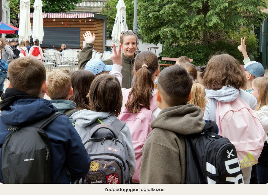 A Budapesti Állatkertben is elkezdődött a tanév Október 10-én nyílt napot tartanak a pedagógusoknak